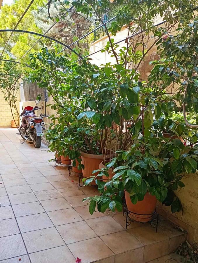 Ηome & Garden with parking close to Olympic Stadium - B&B Athens