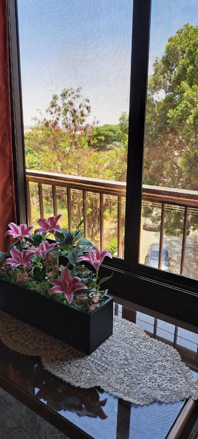 Free Pickup&Dropoff Cairo Airport limousine with staying at Hewidi Panorama Apartment 7Min to Airport 免费利莫司汀往返机场 limousine gratuite depuis et vers l'aéroport - B&B