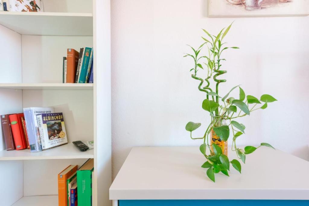 Chambre Simple
