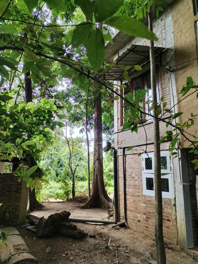 Nature Home near Colombo Airport - B&B