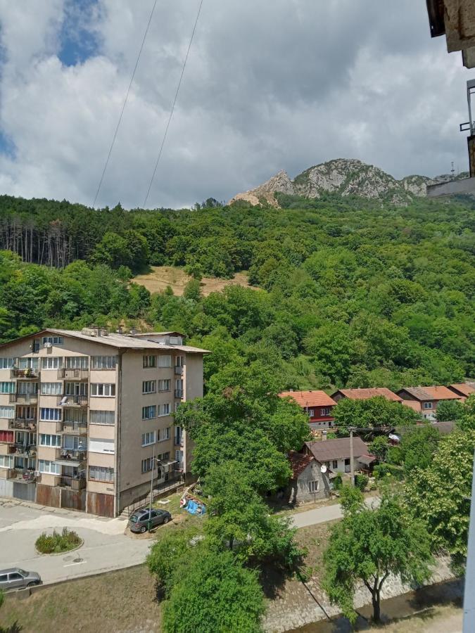 ,,Vruć Vetar,, - Ferienwohnung Majdanpek