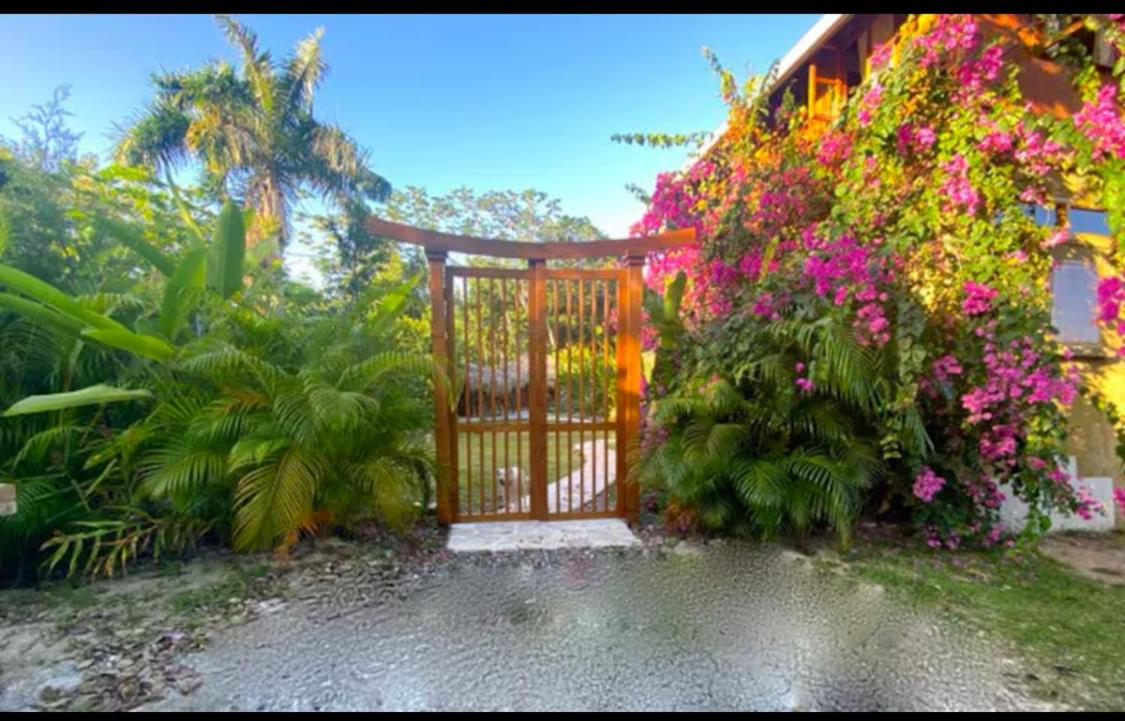 Magical Port Antonio Close to Blue Lagoon Frenchman's Cove - B&B