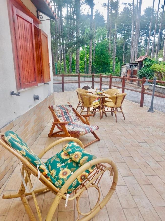 La casa nel bosco - B&B