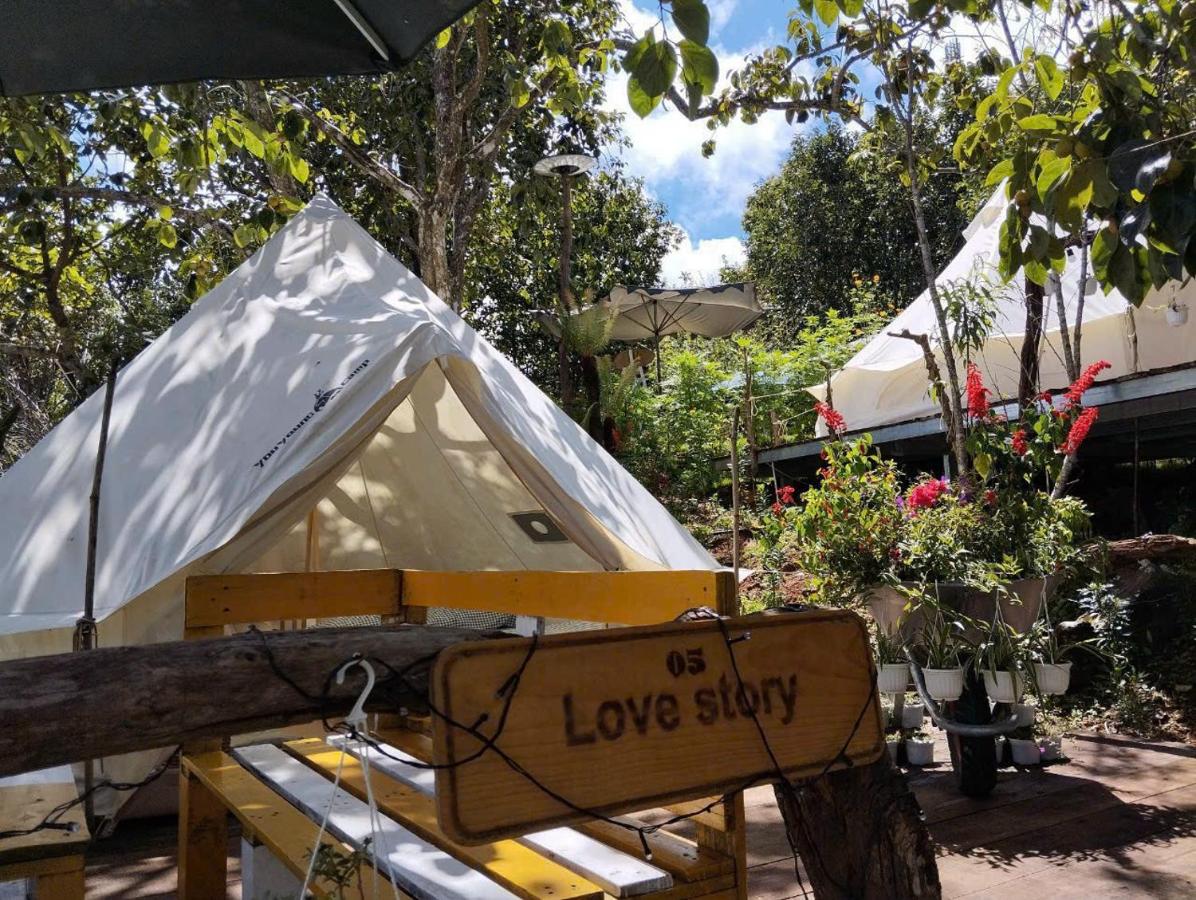 Vuon Hong Le Phuc-Cau Dat Glamping Retreat Da Lat - B&B Ấp Trạm Hành