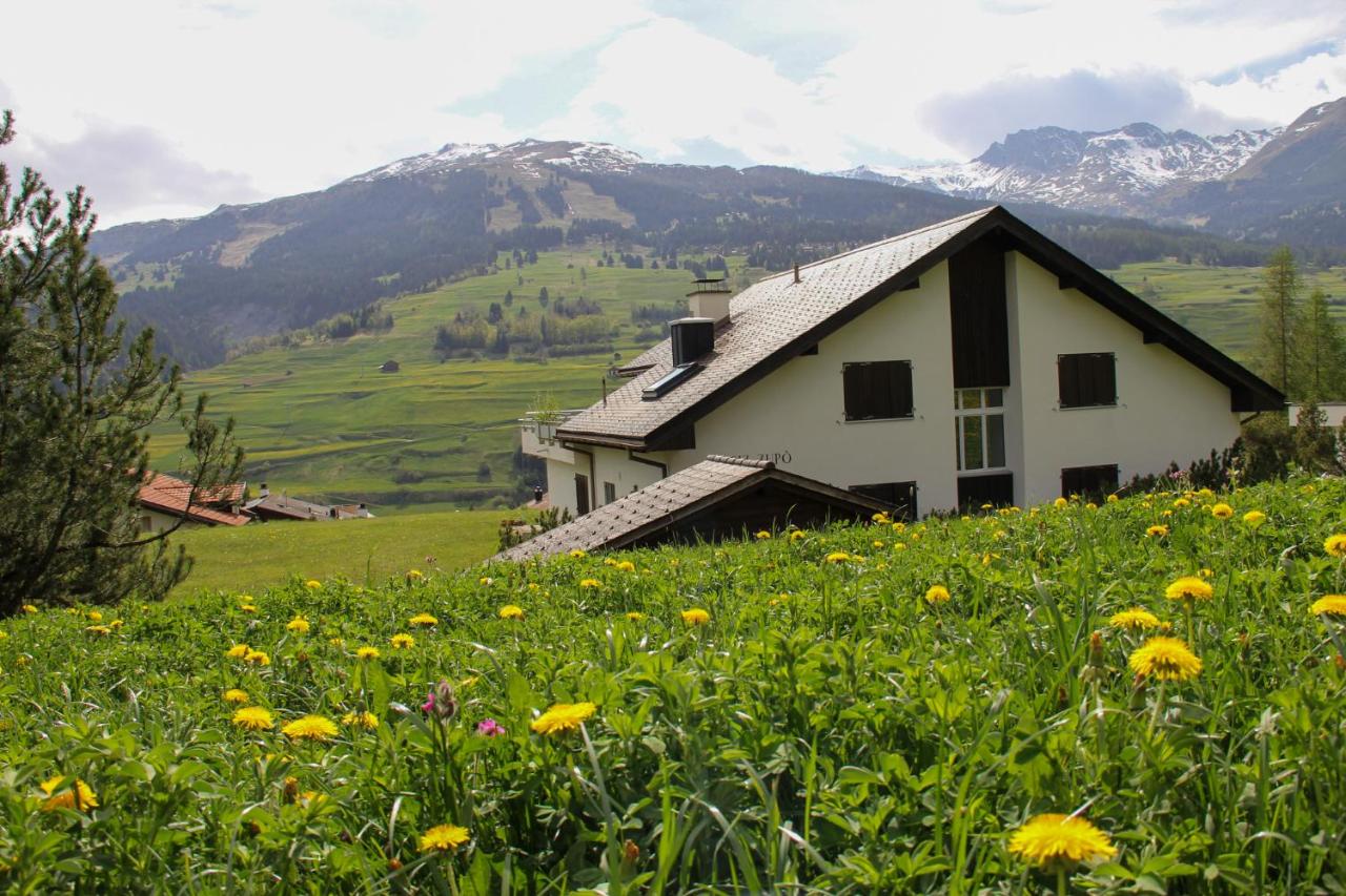 Wohnung Steinbock Savognin - B&B Savognin