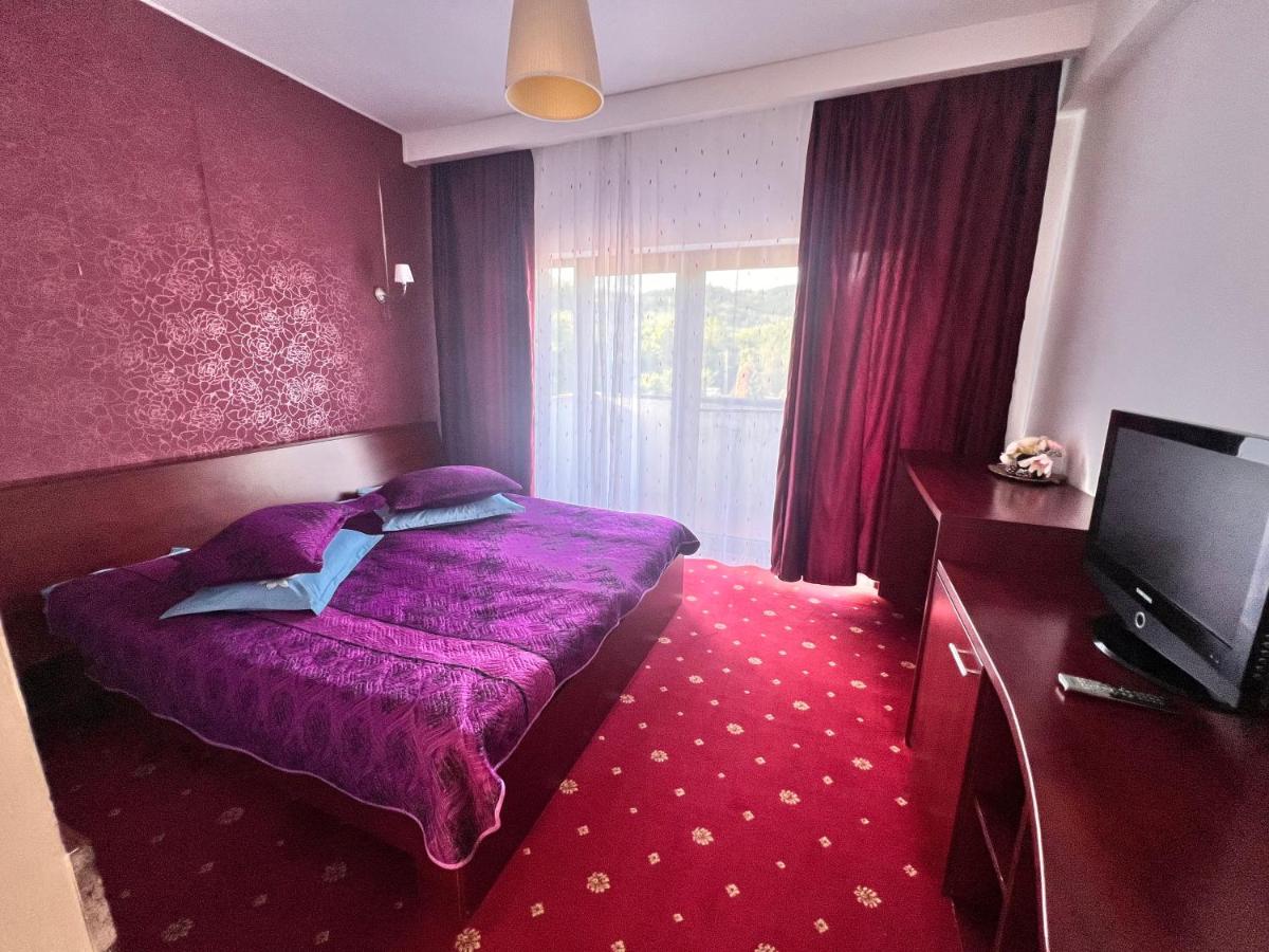 Pensiunea Casa Pădurii Slanic PRAHOVA - Chambres d’hôtes Groșani
