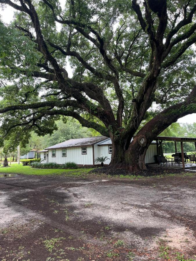 Charming Oak - B&B Bon Secour