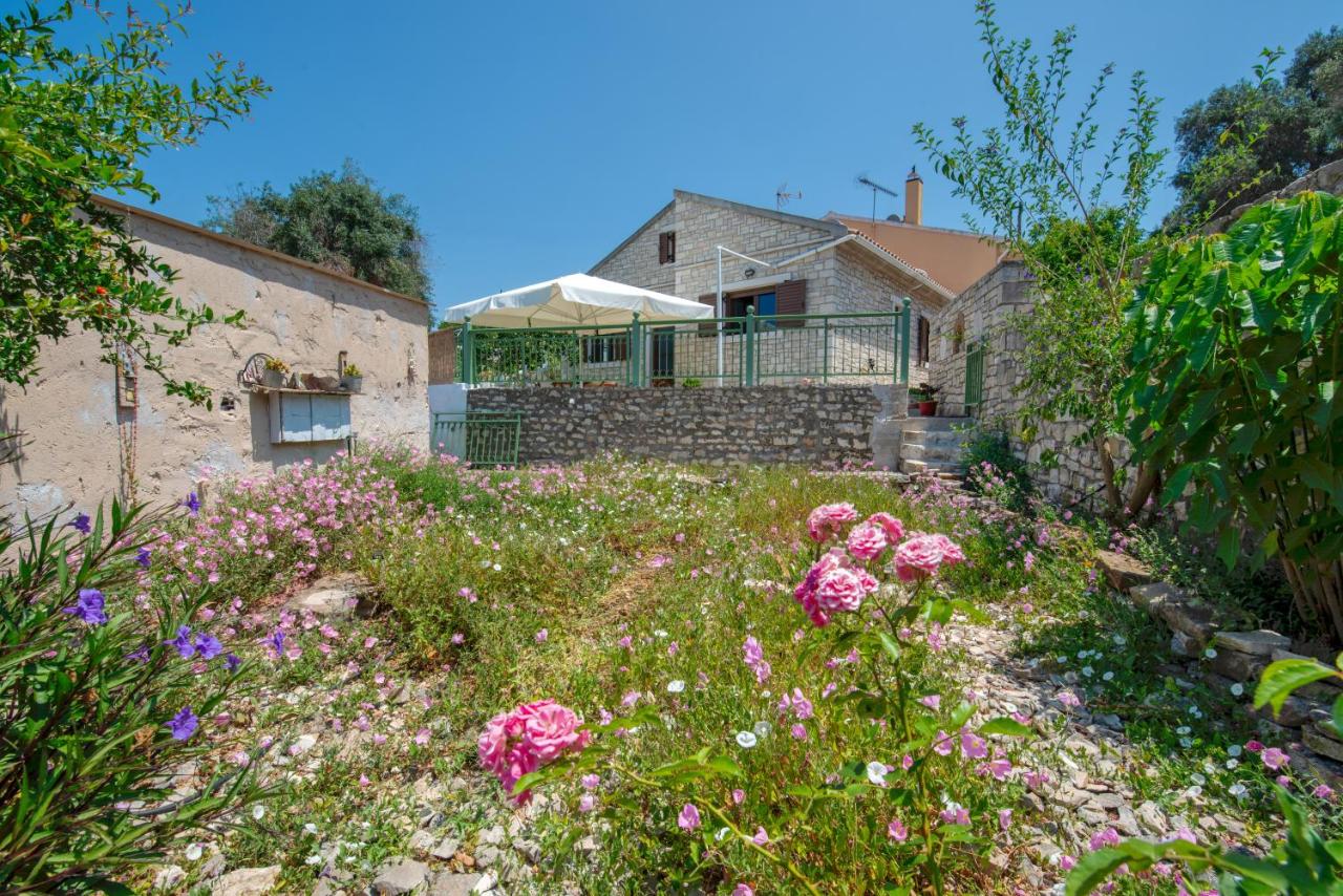 Rena's house - B&B