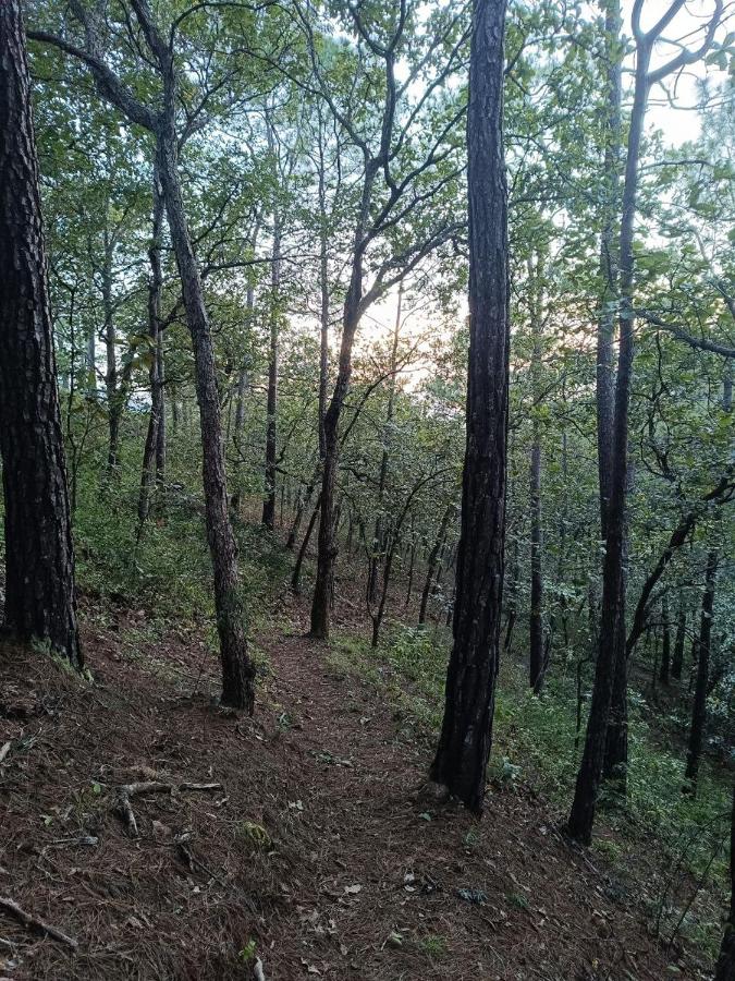 Cabaña Vista Pinares San Ignacio Chalatenango - B&B Chalatenango