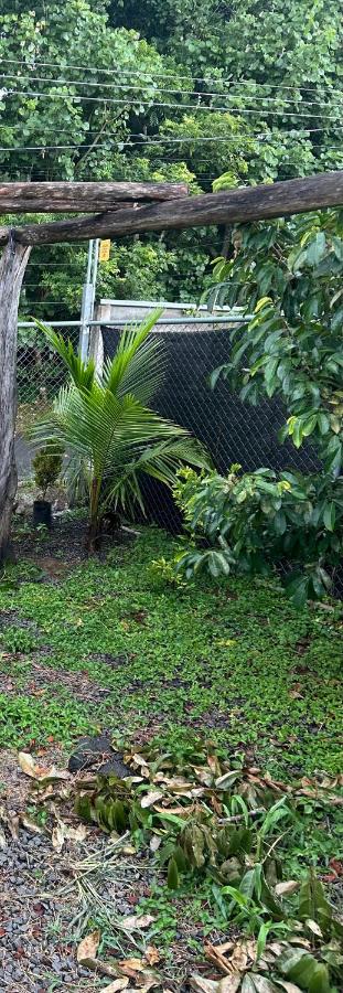 Apartament near SJO Airport - B&B Barrio Jesús