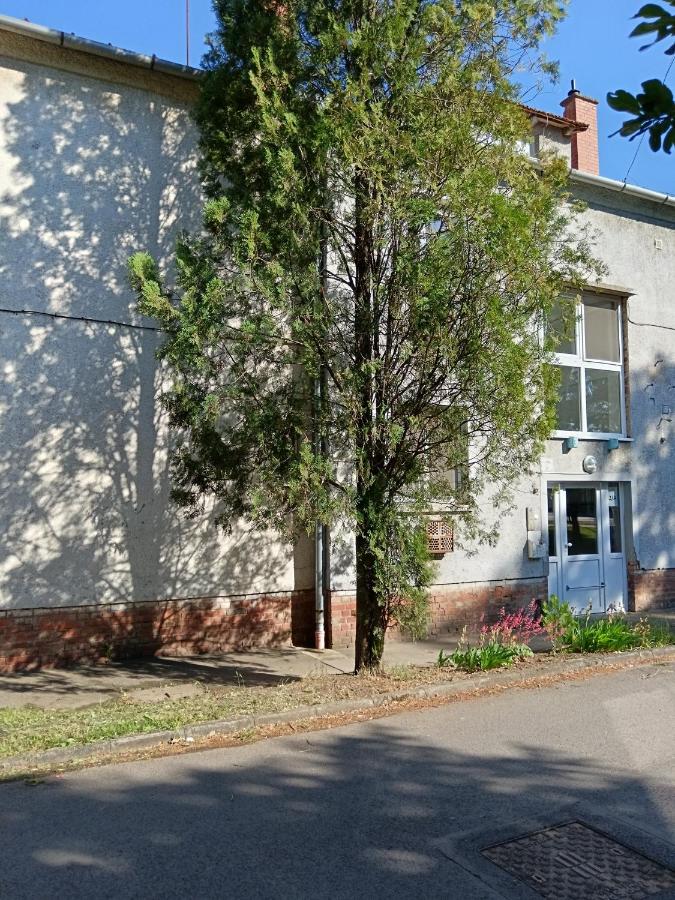 Tulipán Apartman - Chambres d’hôtes Békéscsaba