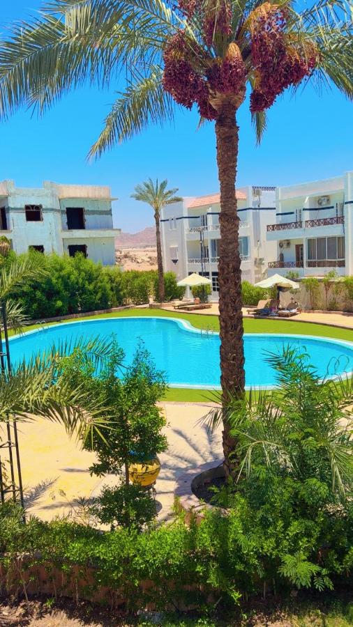 Luxury apartment perfect location pool view - Bed and Breakfast Sharm el-Sheikh