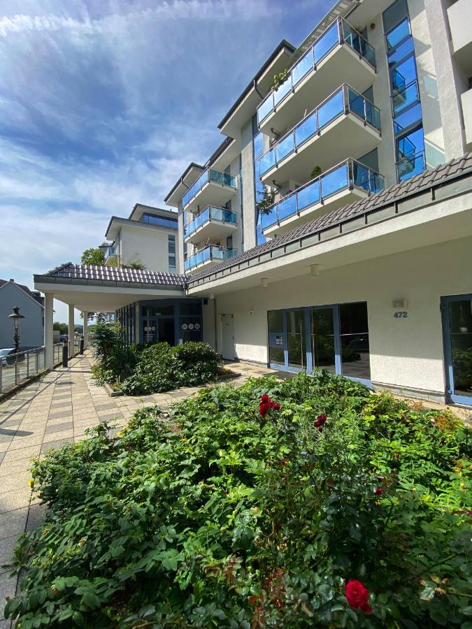 Rhein-Apartment mit Drachenfelsblick - B&B
