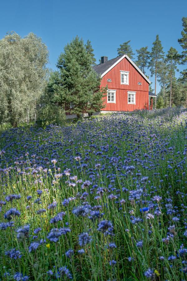 Nybacka Torp - B&B Raseborg
