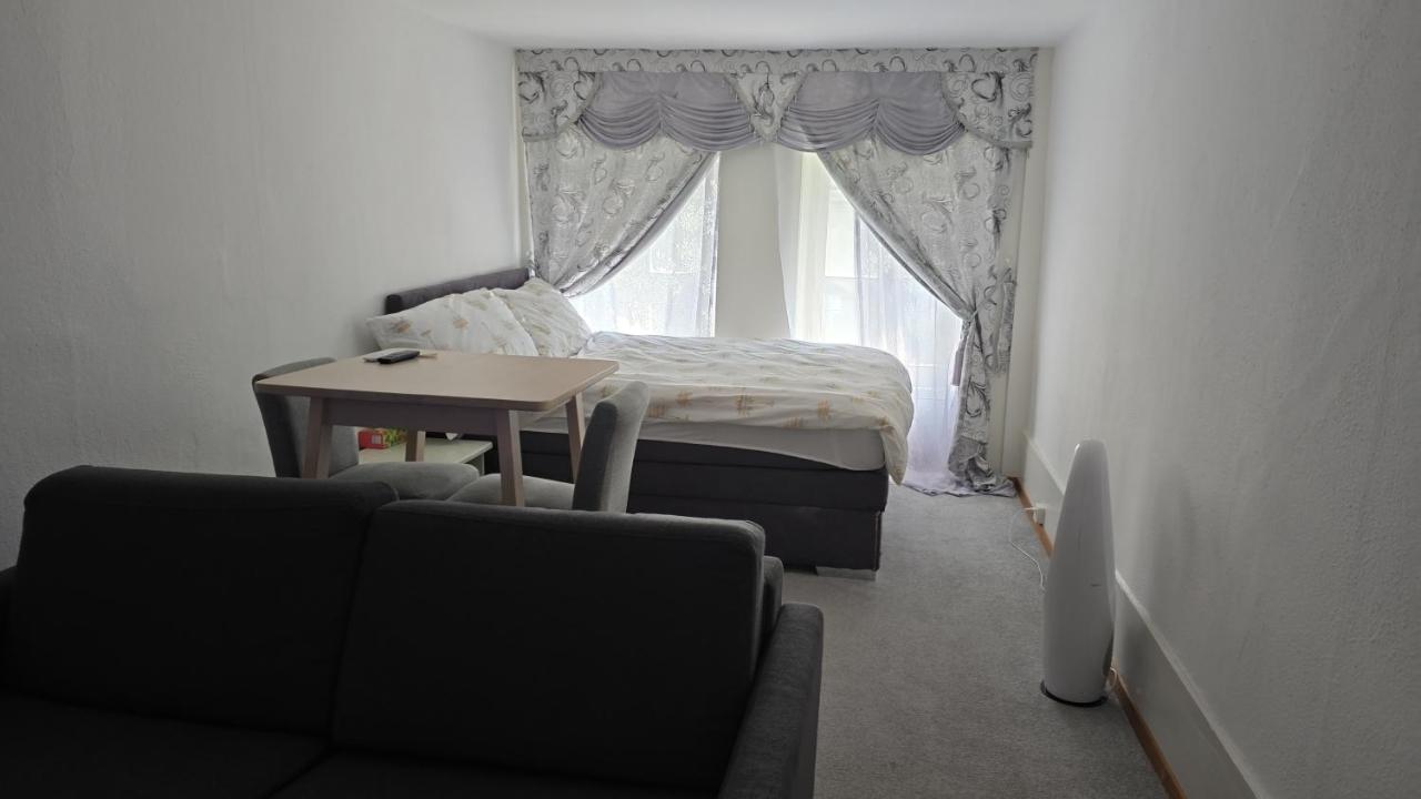 Real Swiss Classic Apartment & Up to 7 Seats Cars Rental Option - B&B