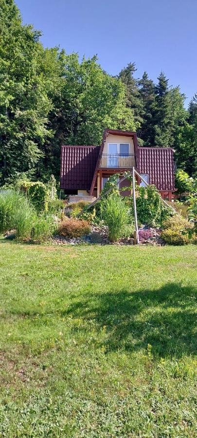 Szumią Dęby - Marcyporęba - B&B Marcyporęba