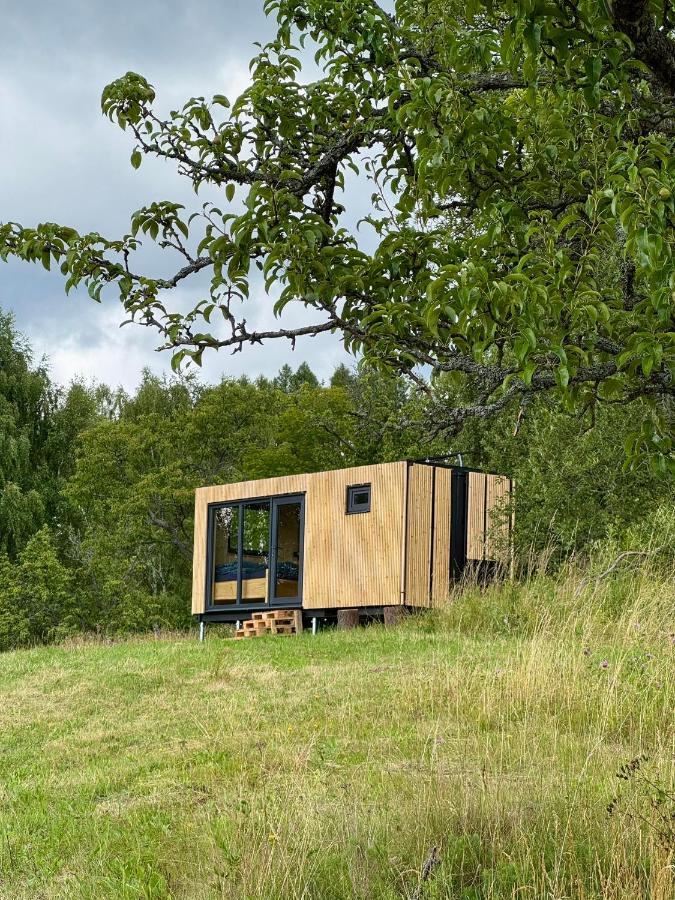 Jeseníky glamp - B&B