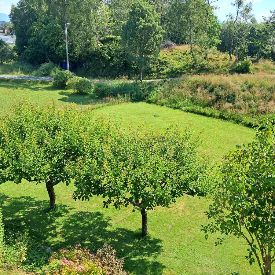 Koselig leilighet i Langevåg - B&B Holen