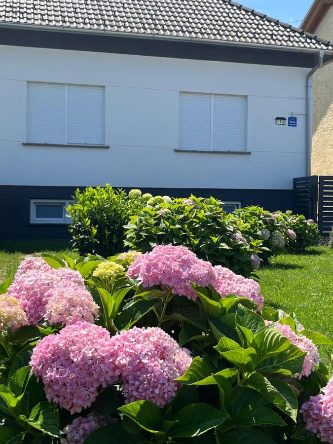 Apartman Kuća 150 - B&B