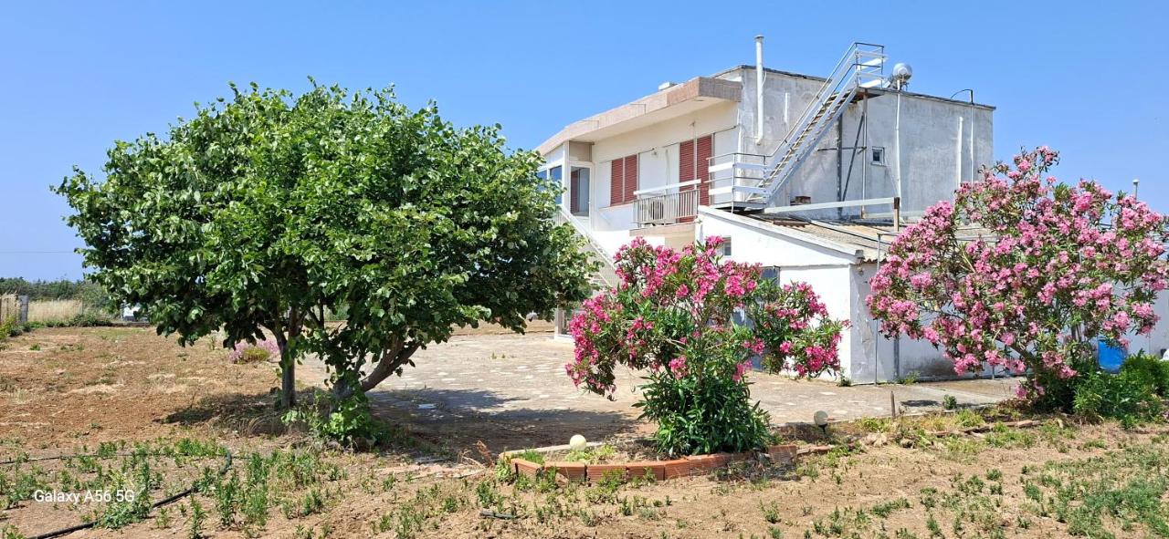 IMARET house - B&B