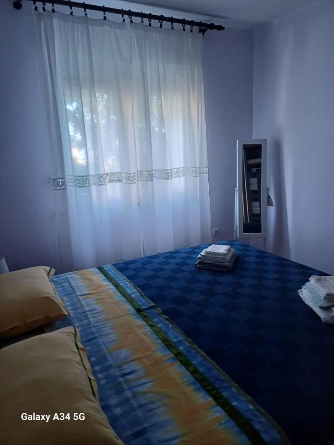 Tedi - B&B Rijeka