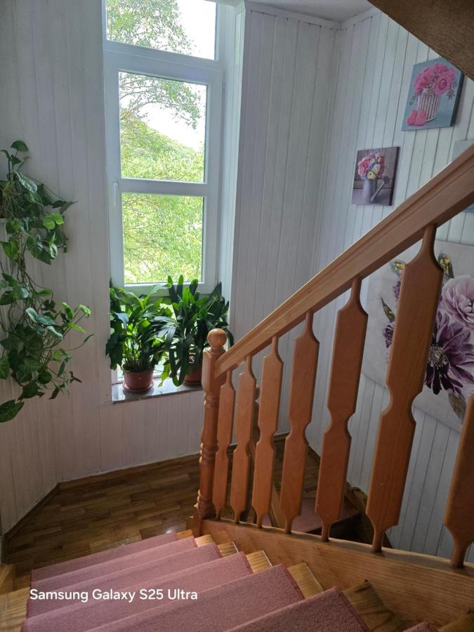 Apartments Žegarac House - B&B Korenica