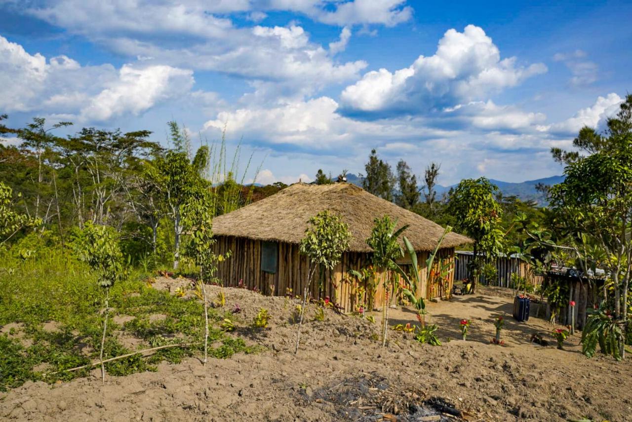 Bird of Paradise ECO Lodge - B&B Mintima