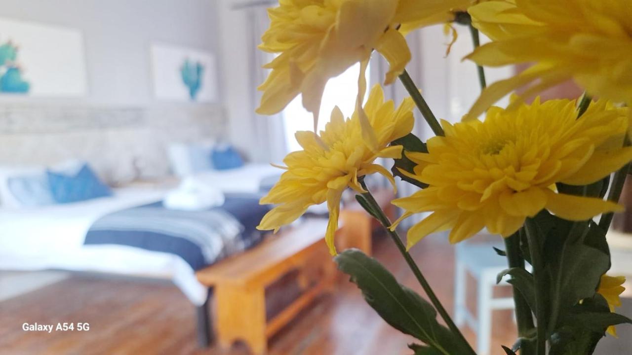 Von Loë Huizen - B&B Fauresmith