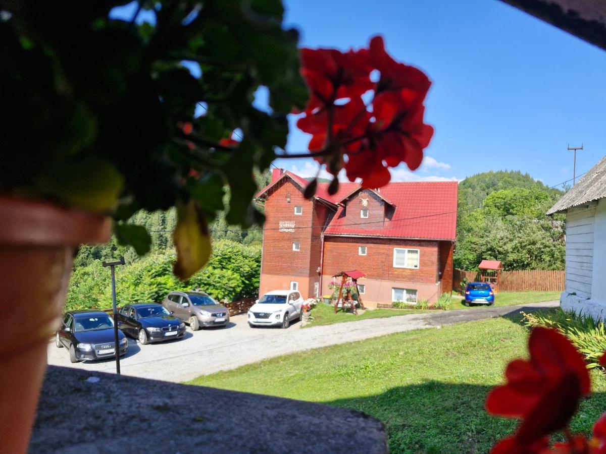 Pensiunea Cabana Viselor - B&B Vadu Moţilor