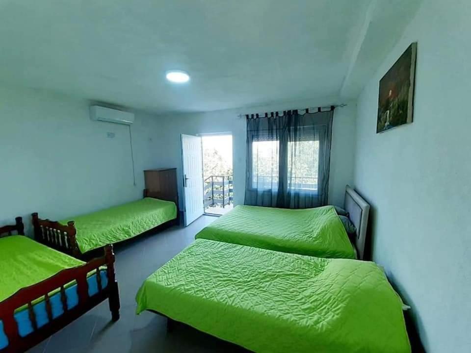 Apartment with Lake View