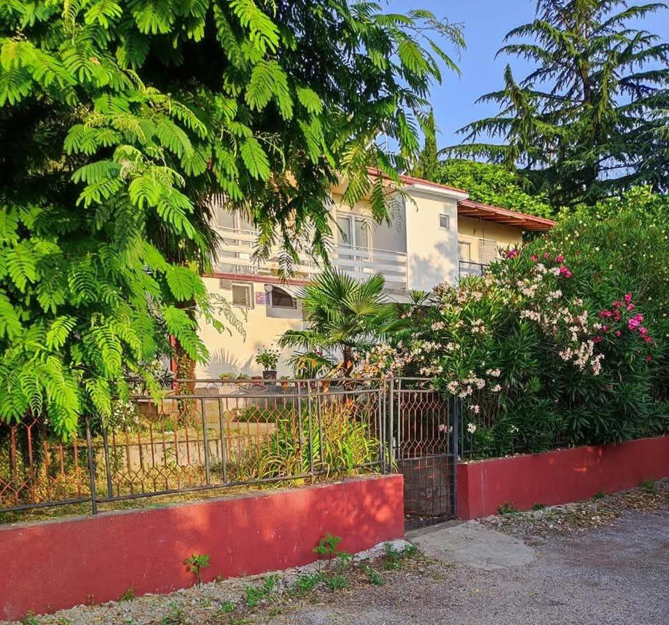 Vila Mario Dojran - B&B