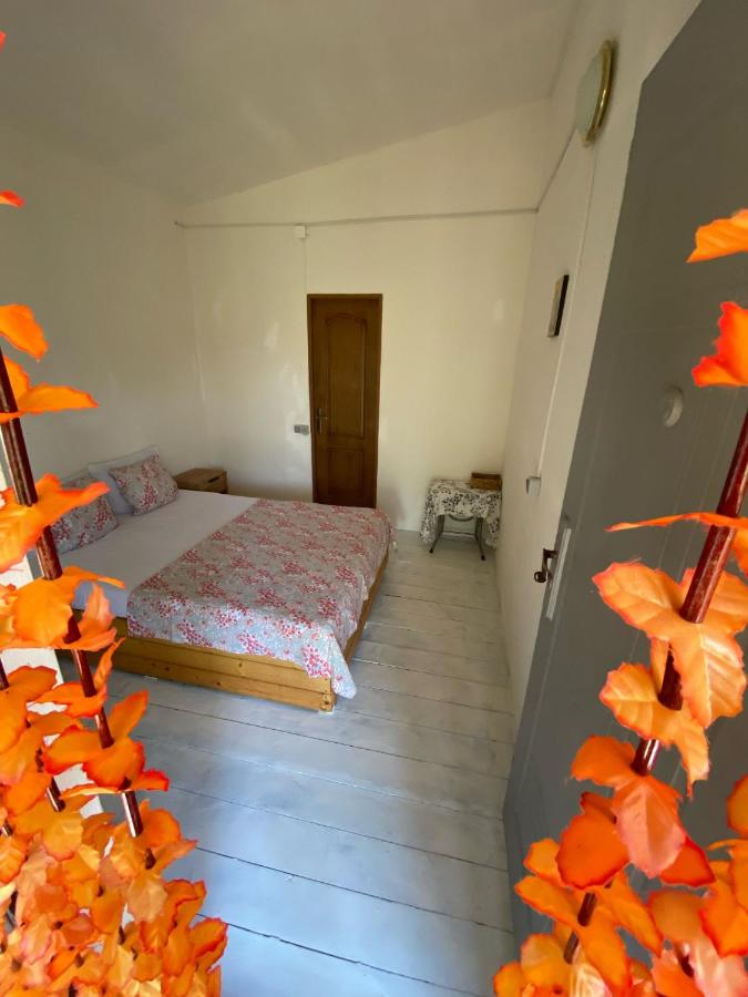 La Valentina - Ferienwohnung Vadu