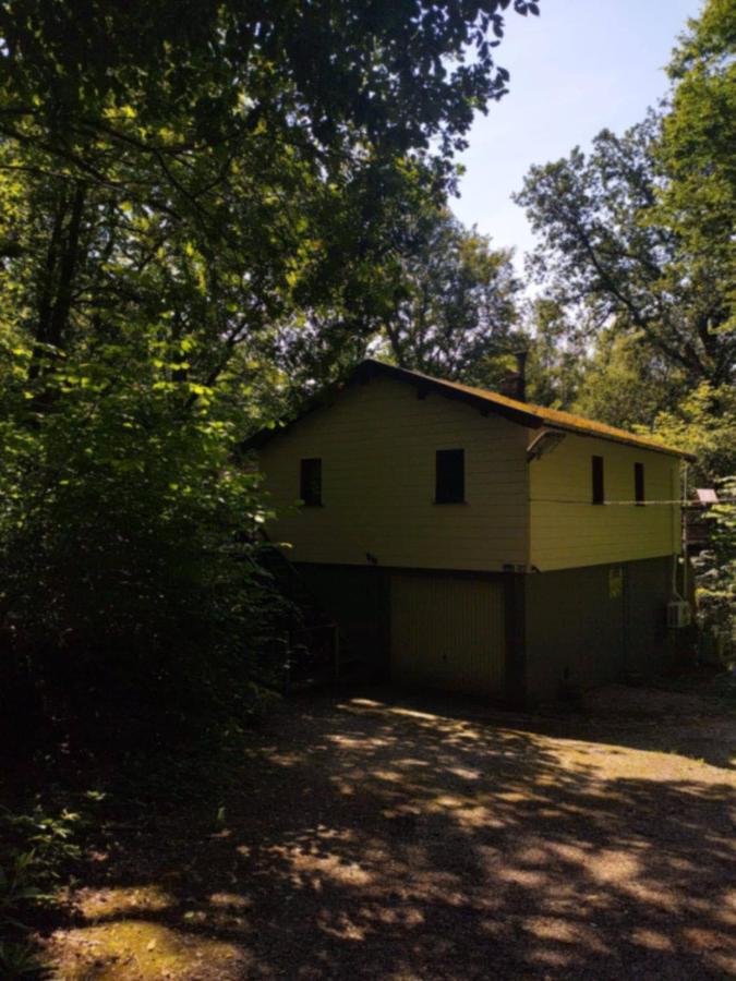 vogelzang - B&B