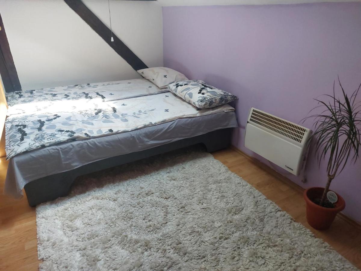 Private room in aparthmanELY - B&B Sarajevo