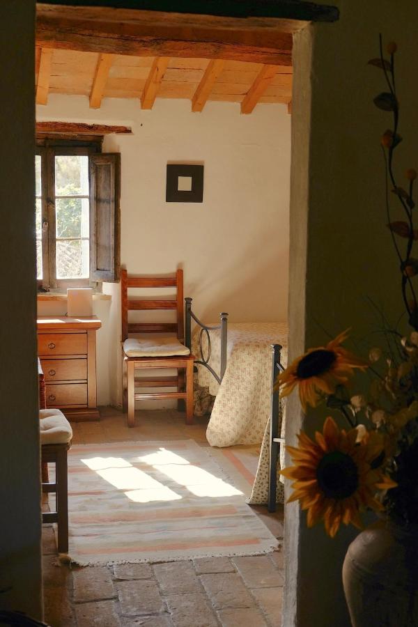 restored water mill with rockpools and waterfall - Ferienwohnung San Giustino
