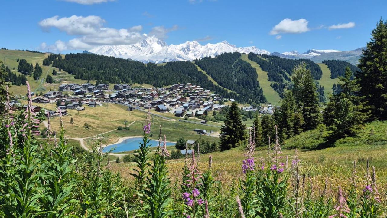 Appartement lumineux station Les Saisies 100 M des pistes et ESF pour été comme hiver - B&B Les Saisies