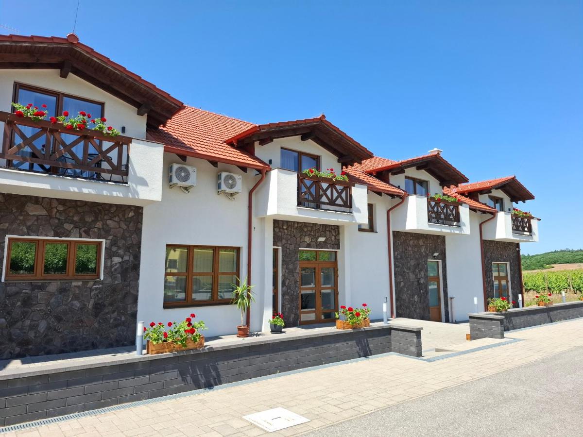 Penzión Vínny Dom - B&B