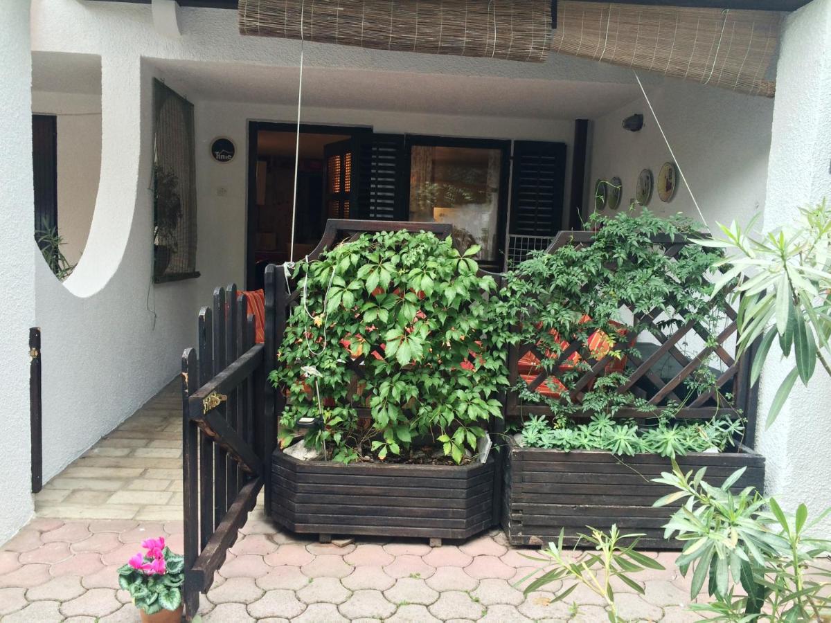 Estudio con terraza