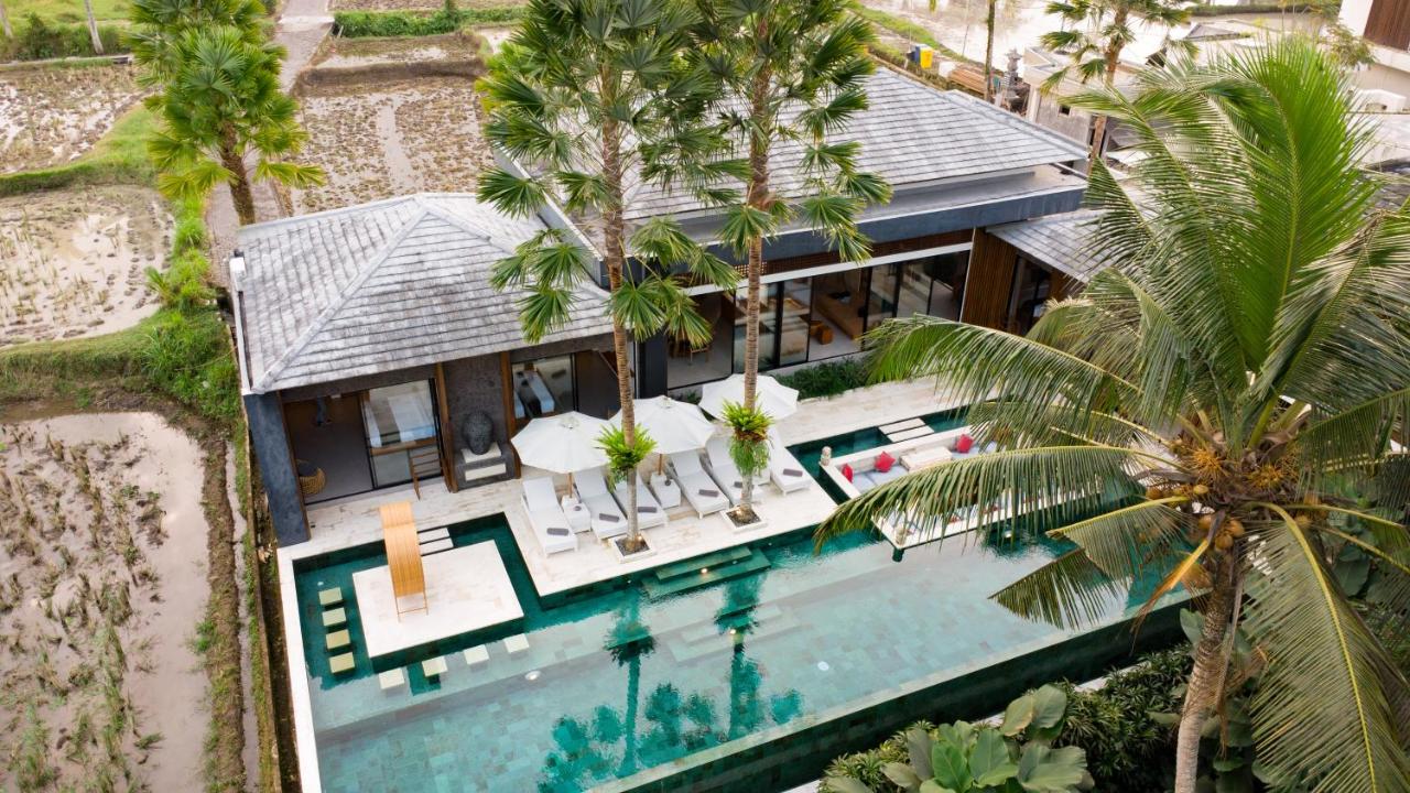 Villa Zen by BaliSuperHost - Chambres d’hôtes Ubud