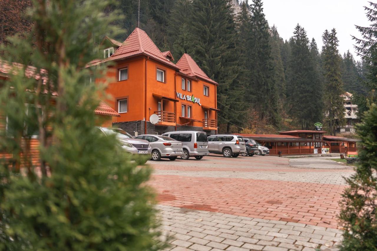 Vila Bradul - B&B