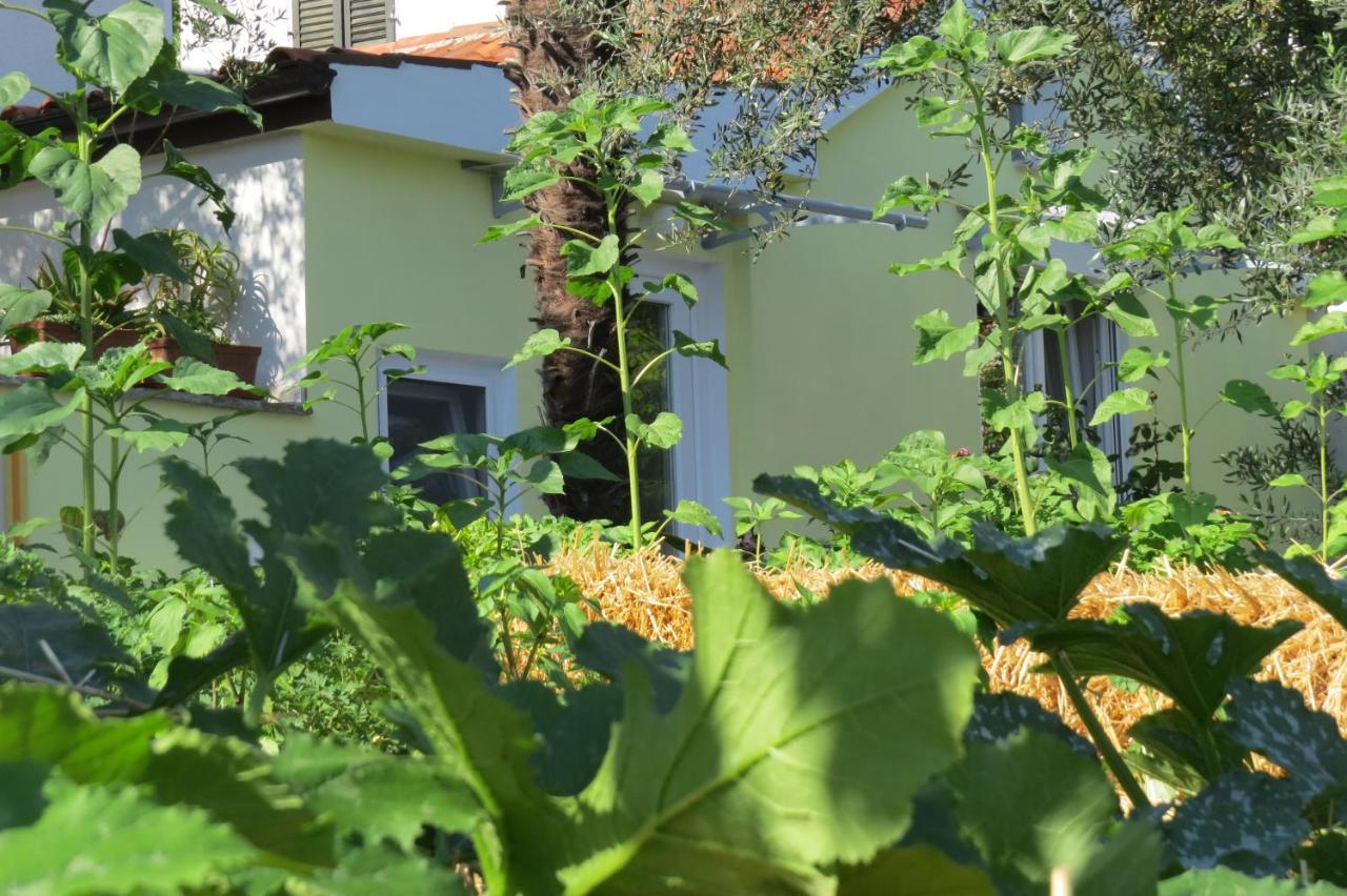 Apartment Casetta - B&B