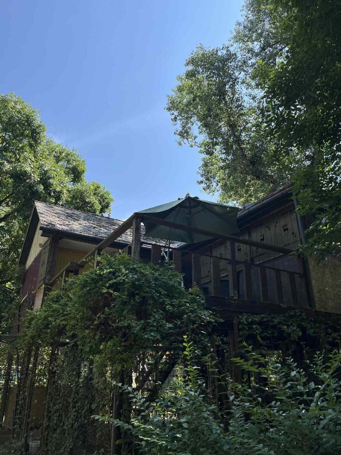 Zsófia faház - B&B Vásárosnamény