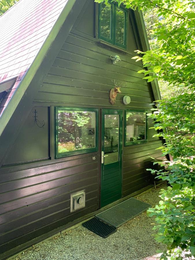 Birdie Forest Lodge - voor golf & MTB, met berging - B&B Durbuy