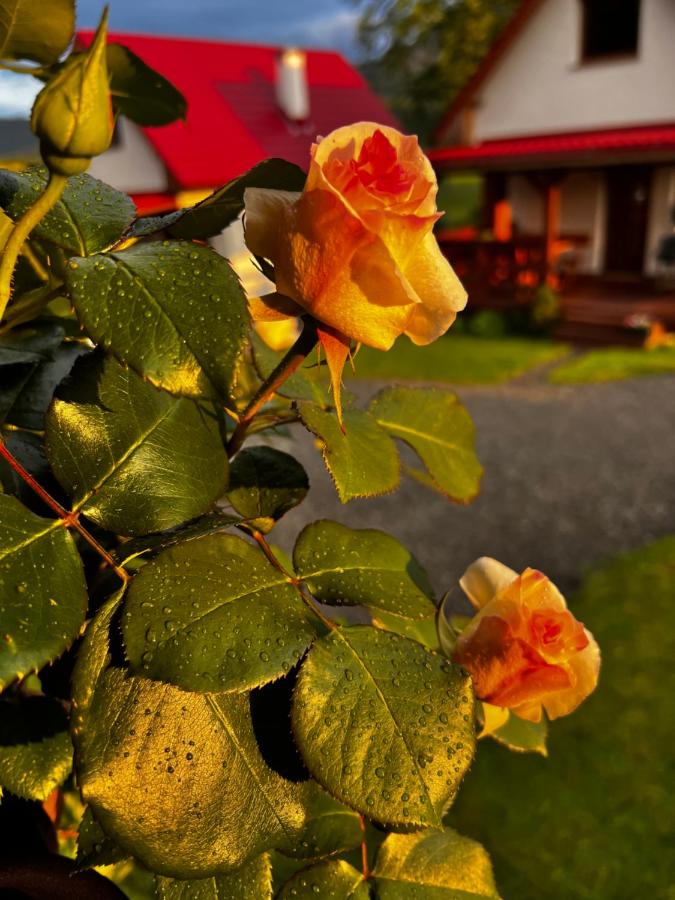 Stolove Chatki Radków - B&B