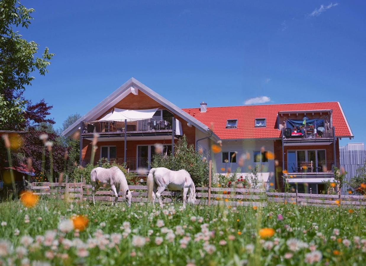 Kempten zentral im Grünen - Ferienwohnung Kempten