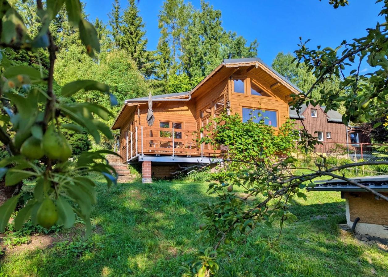 Wichtelhaisl Rittersgrün im Erzgebirge - Entspannen im fröhlichen Tiny House - umzäunter Naturgarten-Hunde willkommen-Ebike und Elektroauto laden - Ferienwohnung Arnoldshammer