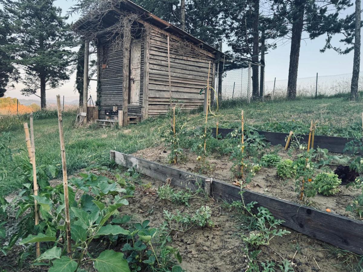 Villa immersa nei campi - B&B Casalfiumanese