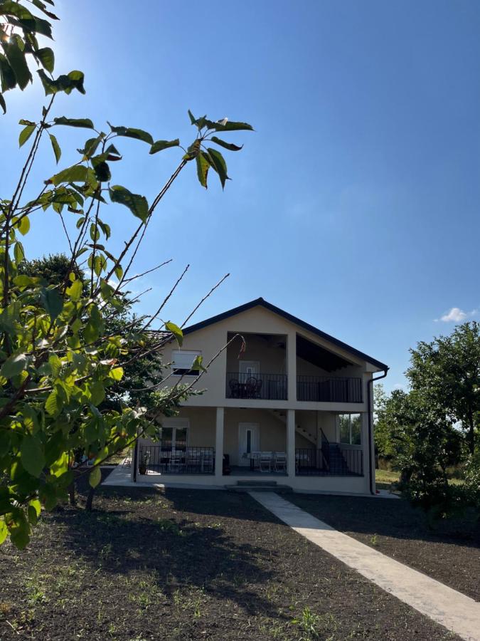Casa Lisović - B&B