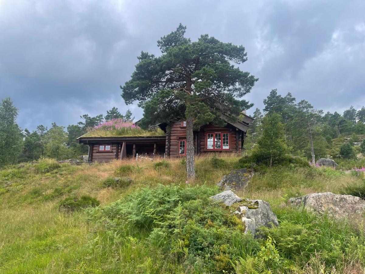 Karíbu-Welcome - Bed and Breakfast Øyuvstad