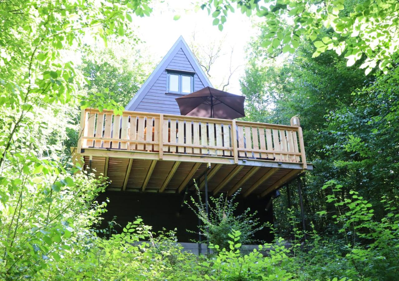 Birdie Forest Lodge - voor golf & MTB, met berging - Chambres d’hôtes Durbuy